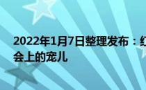 2022年1月7日整理发布：红宝石蓝宝石祖母绿依旧是拍卖会上的宠儿