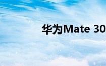 华为Mate 30 Pro相机评测