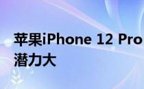 苹果iPhone 12 Pro自拍评测:性能扎实 电影潜力大