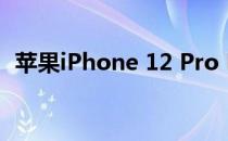 苹果iPhone 12 Pro Max相机评价:大而美