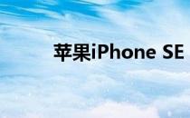 苹果iPhone SE (2020)音频评测