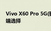 Vivo X60 Pro 5G(骁龙)相机评测:可靠的高端选择