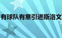 有球队有意引进斯洛文尼亚前锋罗伯特贝利奇