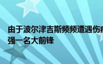 由于波尔津吉斯频频遭遇伤病独行侠目前正在市场中寻求补强一名大前锋