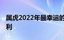 属虎2022年最幸运的颜色 属虎什么颜色最吉利 