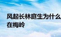 风起长林庭生为什么葬梅岭 庭生为什么要葬在梅岭 