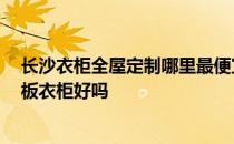 长沙衣柜全屋定制哪里最便宜 长沙衣柜定制哪家好 做免漆板衣柜好吗 