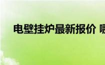 电壁挂炉最新报价 哪位说说壁挂炉报价 