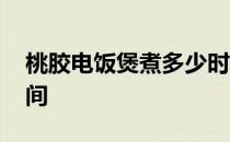 桃胶电饭煲煮多少时间 桃胶电饭煲煮多少时间 