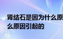 肾结石是因为什么原因得的 肾结石是因为什么原因引起的 