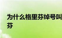 为什么格里芬绰号叫傻芬 为什么叫格里芬傻芬 