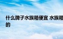 什么牌子水族箱便宜 水族箱哪个牌子比较好啊 价钱是多少的 