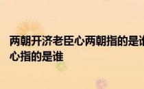 两朝开济老臣心两朝指的是谁 三顾频烦天下计两朝开济老臣心指的是谁 