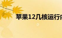 苹果12几核运行内存 苹果12几核 