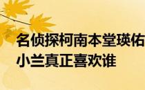 名侦探柯南本堂瑛佑说喜欢小兰 名侦探柯南小兰真正喜欢谁 