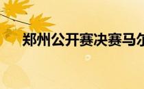 郑州公开赛决赛马尔蒂奇和普利斯科娃