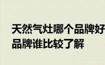 天然气灶哪个品牌好性价比高 天然气灶什么品牌谁比较了解 