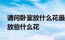 请问卧室放什么花最好图片 求告知卧室应该放些什么花 