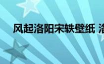 风起洛阳宋轶壁纸 洛阳壁纸价格谁清楚 