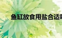 鱼缸放食用盐合适吗 鱼缸放哪里合适 