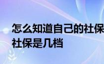 怎么知道自己的社保属于几档 怎么知道自己社保是几档 