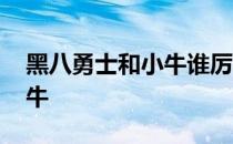 黑八勇士和小牛谁厉害 为什么勇士能黑八小牛 