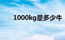 1000kg是多少牛 1000KG是多少斤 