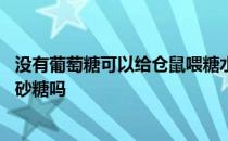 没有葡萄糖可以给仓鼠喂糖水不 没有葡萄糖可以给仓鼠喂白砂糖吗 