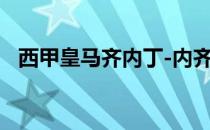 西甲皇马齐内丁-内齐达内主帅是联赛最佳