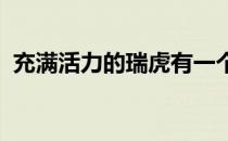 充满活力的瑞虎有一个亮黑色处理的新格栅