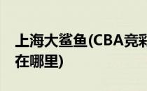 上海大鲨鱼(CBA竞彩篮球上海大鲨鱼的赛程在哪里)