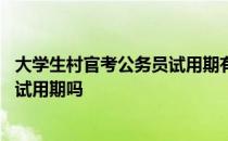 大学生村官考公务员试用期有用吗 村官满两年考上公务员有试用期吗 