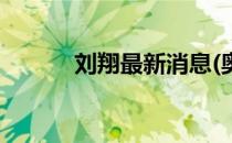 刘翔最新消息(奥运会最新消息)