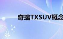 奇瑞TXSUV概念车亮相北京车展