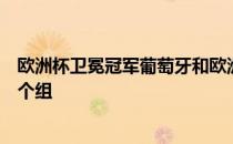 欧洲杯卫冕冠军葡萄牙和欧洲杯历史最佳球队德国都属于这个组