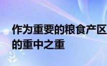 作为重要的粮食产区 粮食安全一直是河南省的重中之重