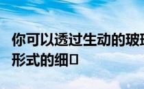 你可以透过生动的玻璃看到数码印刷的图案和形式的细�