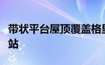 带状平台屋顶覆盖格里姆肖重新设计的伦敦桥站