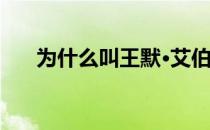 为什么叫王默·艾伯顿和艾伯顿·王默？