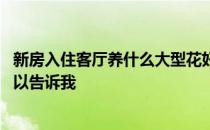 新房入住客厅养什么大型花好看 新房客厅适合放什么花谁可以告诉我 