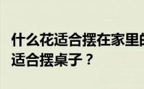 什么花适合摆在家里的桌子上？谁知道什么花适合摆桌子？