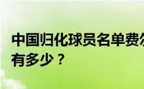 中国归化球员名单费尔南多目前中国归化球员有多少？