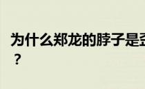 为什么郑龙的脖子是歪的？为什么郑龙是歪的？