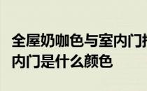 全屋奶咖色与室内门搭配什么颜色？我想知道内门是什么颜色