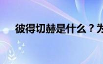 彼得切赫是什么？为什么是彼得·切赫？