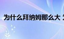 为什么拜纳姆那么大 为什么拜纳姆那么笨？