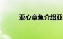 亚心章鱼介绍亚心为什么叫章鱼