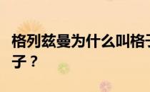 格列兹曼为什么叫格子？格列兹曼为什么叫格子？