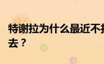 特谢拉为什么最近不打了？特谢拉为什么进不去？