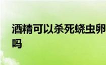 酒精可以杀死蛲虫卵吗 酒精能杀死蟑螂虫卵吗 